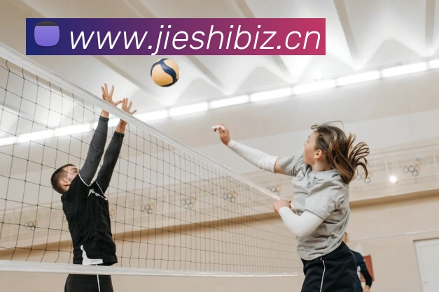 App Interface Preview