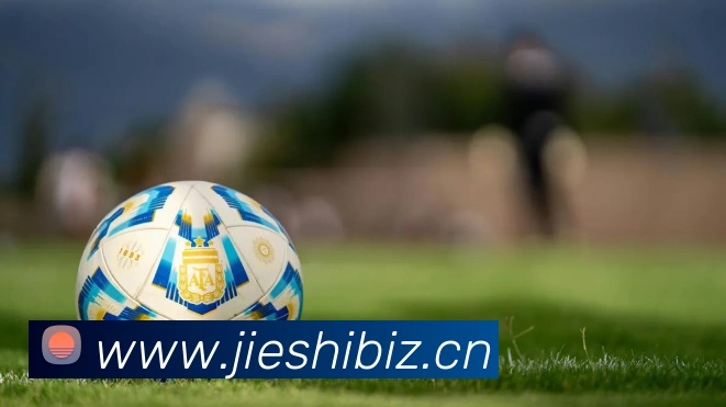 开云手机官方登录APP 封面图